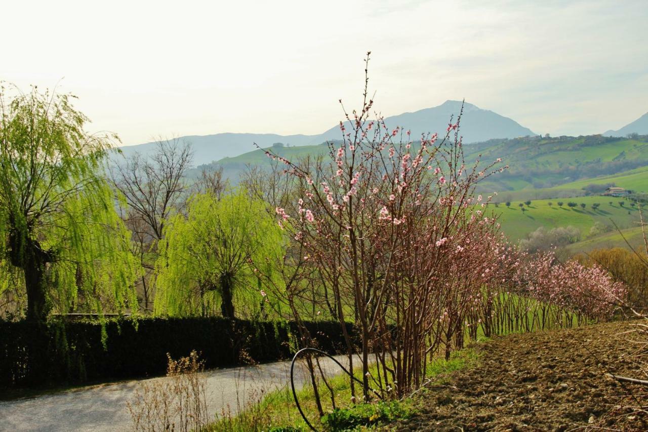 Casa Di Campagna Villa De Luca Bellante Eksteriør billede