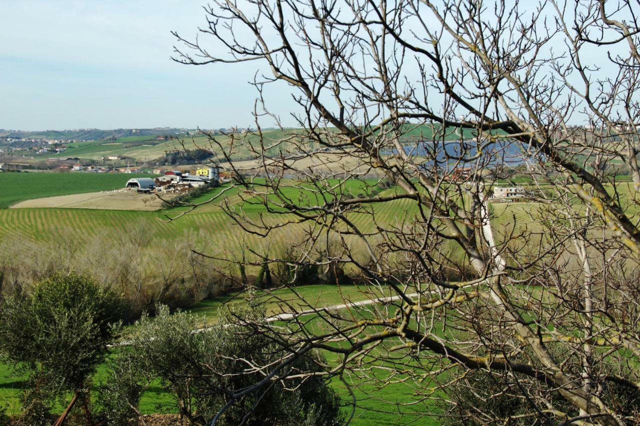 Casa Di Campagna Villa De Luca Bellante Eksteriør billede